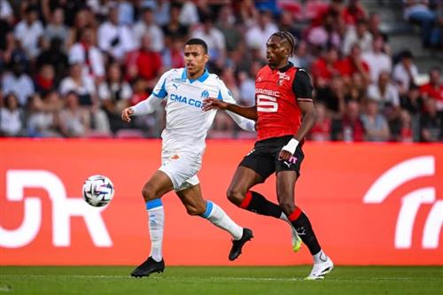 Top Free Betting Websites for Beginners